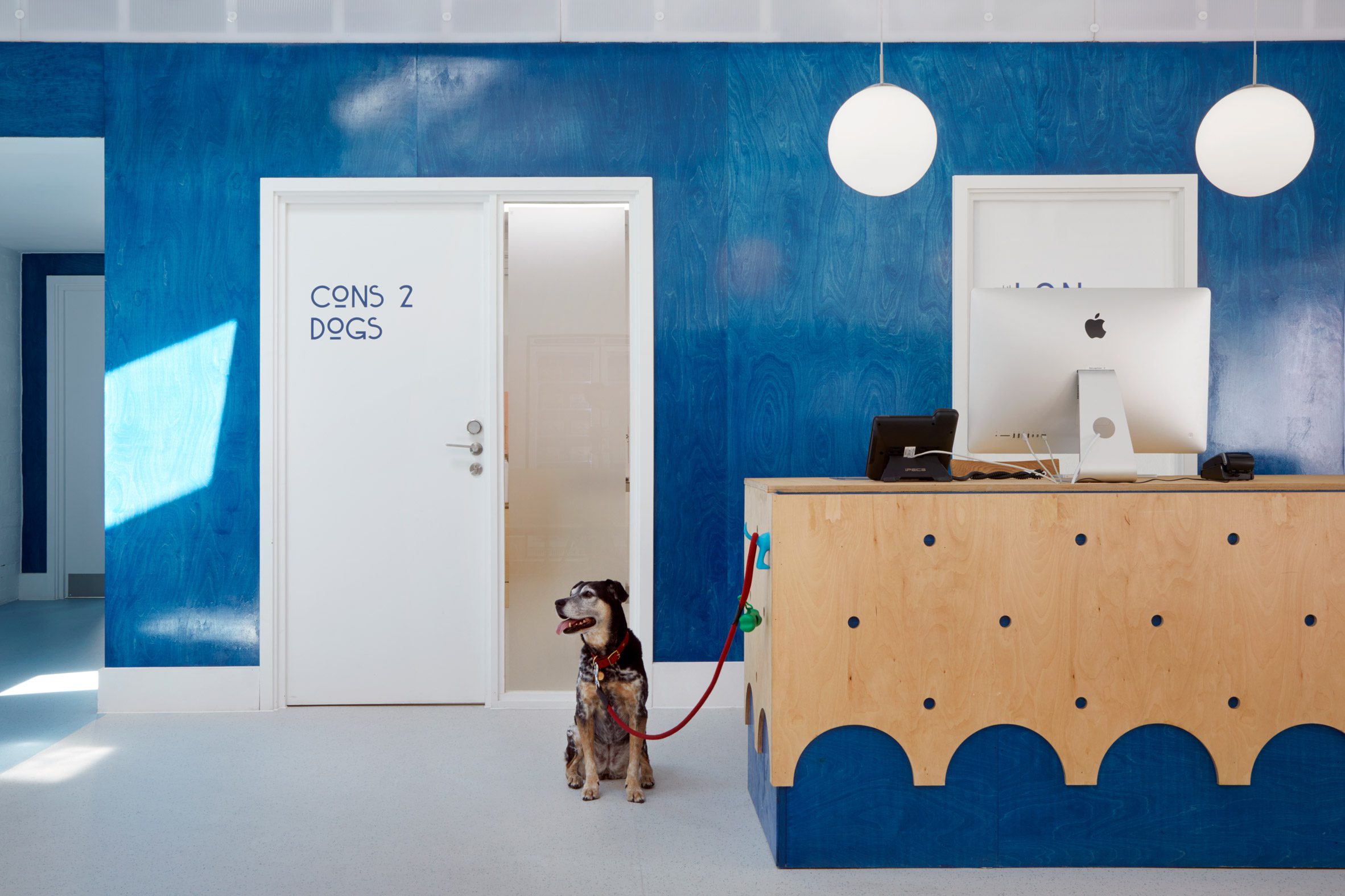 Animal hospital design by Alma-nac 1
