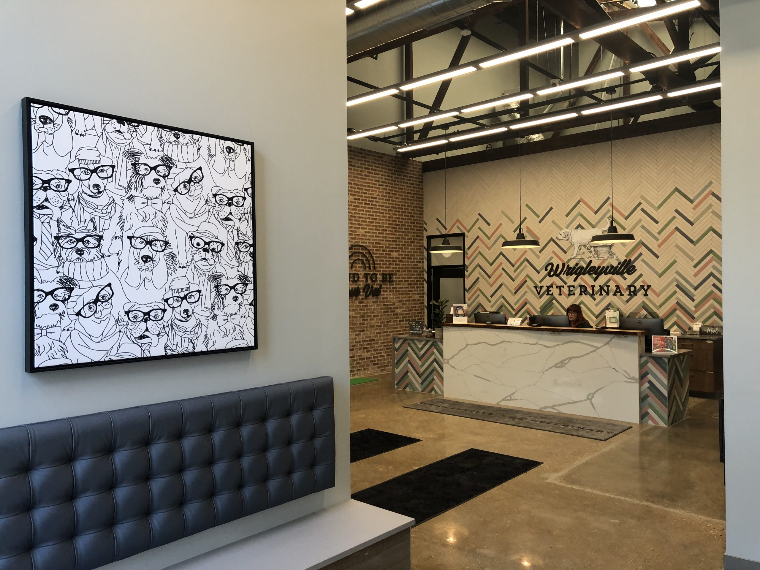 Wrigleyville Veterinary by RWE Design Build 2