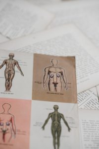 dimension-humaine-au-design-medd-agencement-2 dimension-humaine-au-design-medd-agencement-2