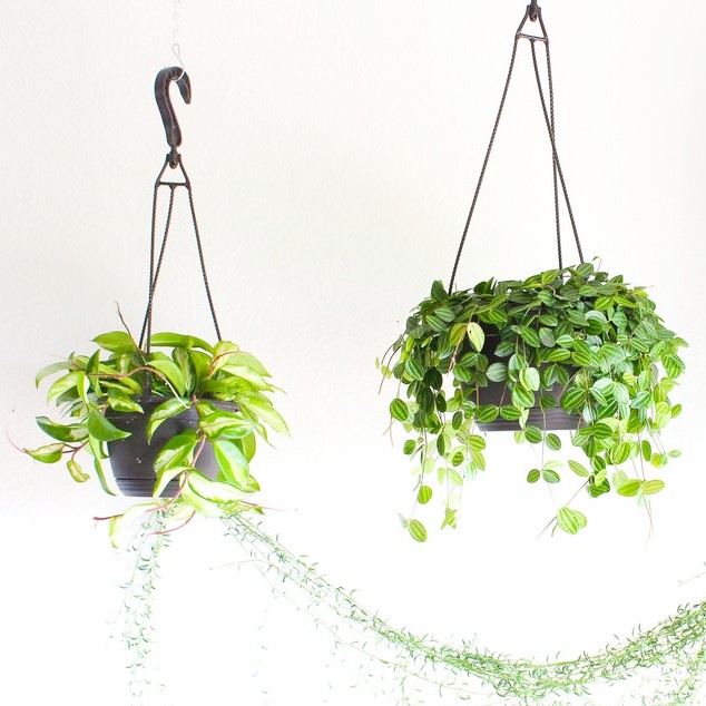 ESPAÇO-NATURA-MEDD-DESIGN-2021-3 SPAÇO-NATURA-MEDD-DESIGN-2021-3