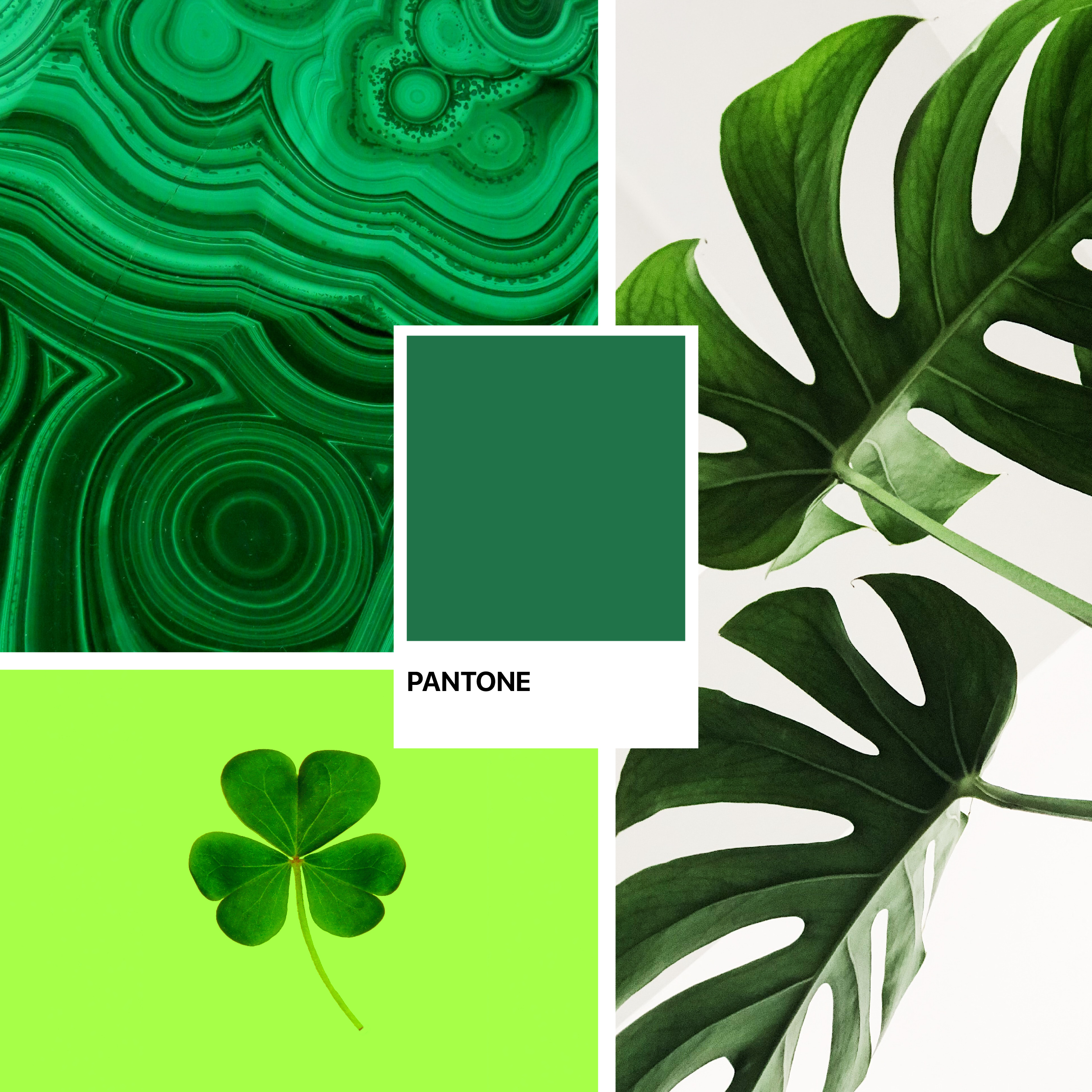 cores-de-outono-medd-design-2022-blog cores-de-outono-medd-design-2022-blog
