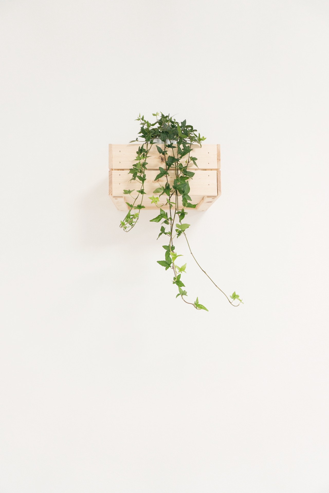 novas-tendencias-medd-design-news.546 novas-tendencias-medd-design-news.546