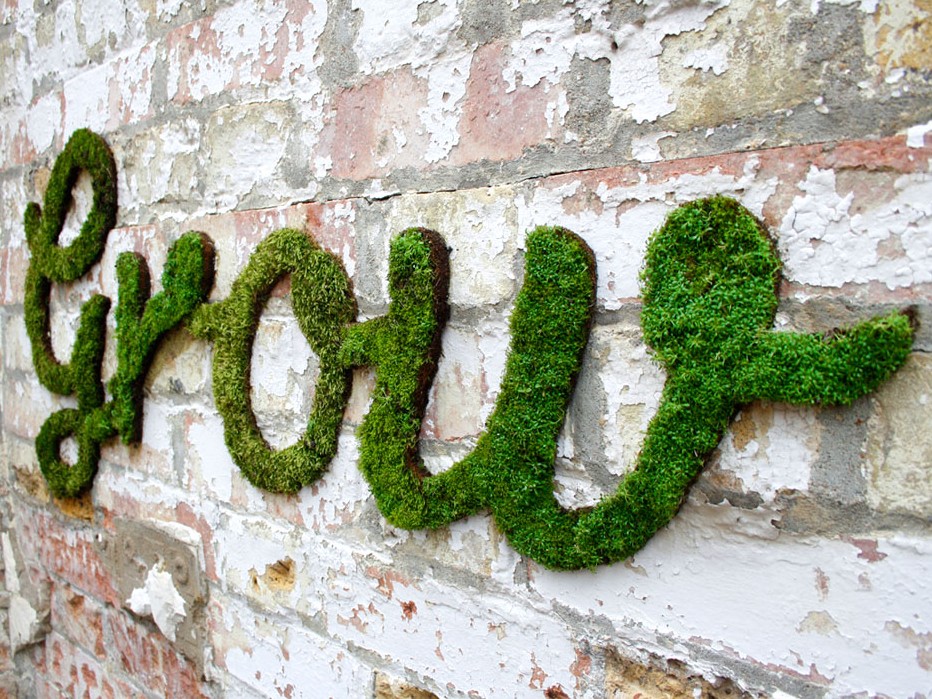 ecodesign-moss-grafitti-medd-design-post-2023 ecodesign-moss-grafitti-medd-design-post-2023